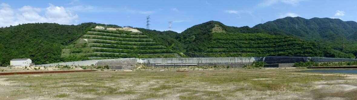 原子炉背後法面の状況