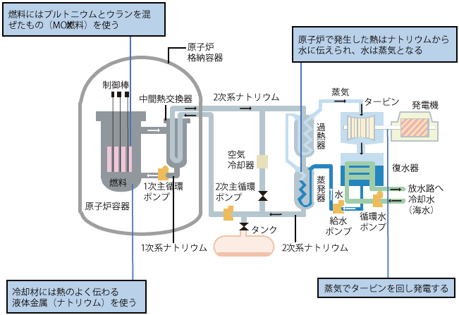 研究開発中の高速増殖炉(FBR)の概略図