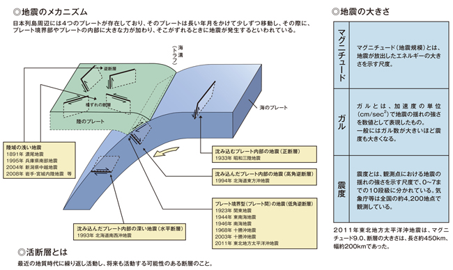 地震の知識