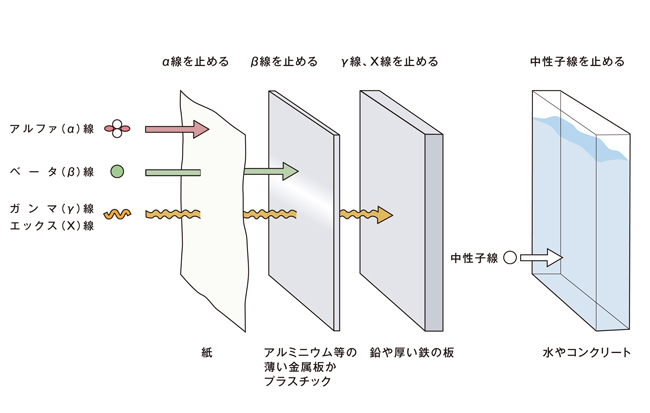 放射線の種類と透過力