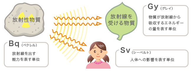 放射線の単位と使用目的
