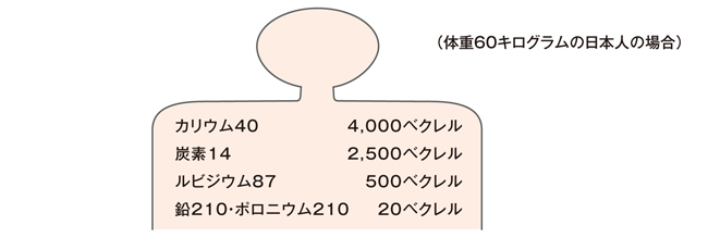 体内の放射性物質の量