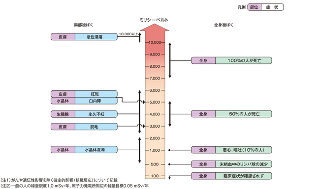 放射線を一度に受けたときの症状