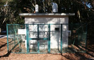 plant_guide_tokai_tokai3_1