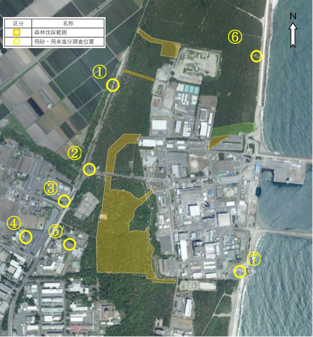 progress_survey2024_1（調査地点）