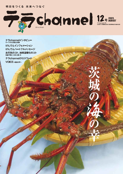 tokai_leaflet20211203.jpg（テラchannel 04号）