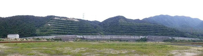 原子炉背後法面の状況 