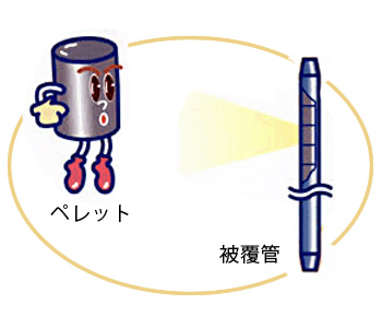 プルトニウムを原子炉の燃料として使う場合には、ウラン燃料と同じように、固く焼き固め(ペレット)、さらにサヤ(被覆管)に閉じ込め、密閉管理するので十分安全に取り扱うことができます。