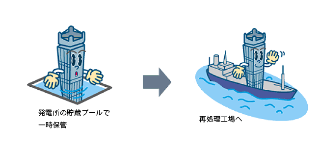 原子炉で使い終わった直後の燃料（使用済燃料）は、放射能が強く余熱も残っているため、放射線をさえぎると同時に冷やすために、発電所の貯蔵プールのラックに入れて水中保管しています。