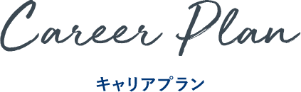 Career Plan キャリアプラン
