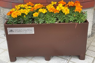 ベンチ(当社 敦賀原子力館)